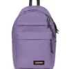 DAY PAK'R PRO DAHLIA VIOLA