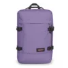 TRAVELPACK DAHLIA VIOLA