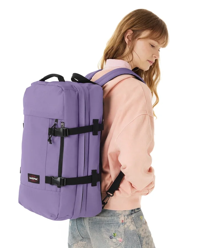 TRAVELPACK DAHLIA VIOLA