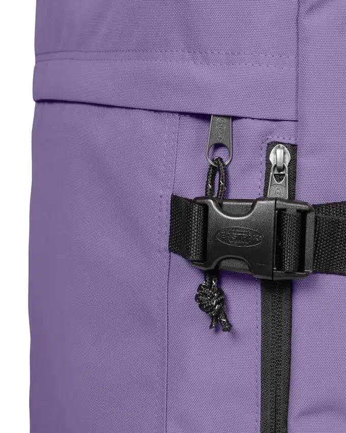 TRAVELPACK DAHLIA VIOLA