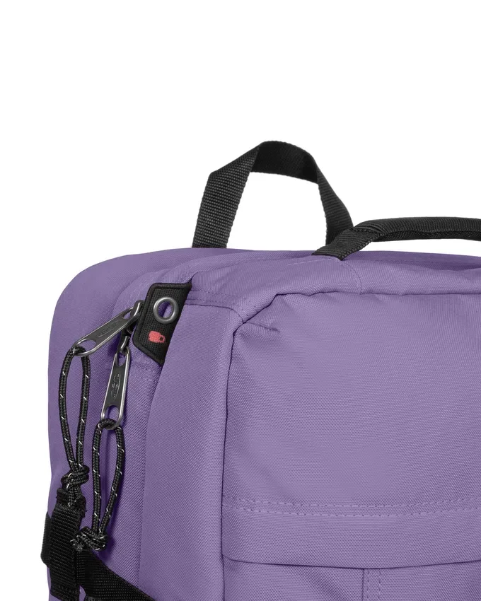 TRAVELPACK DAHLIA VIOLA
